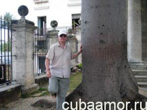 три недели на Кубе